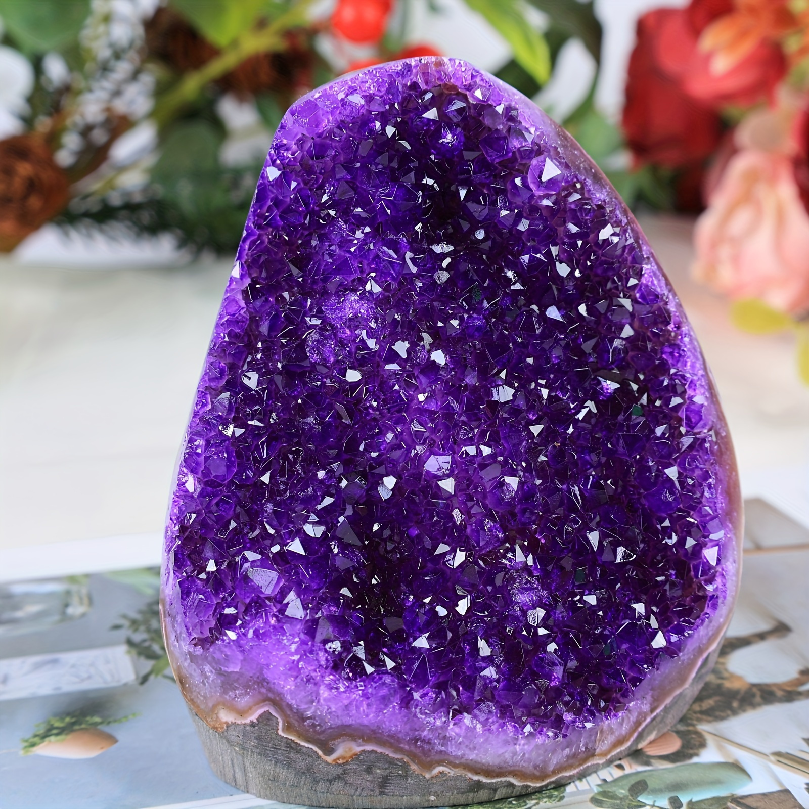 Pourpre