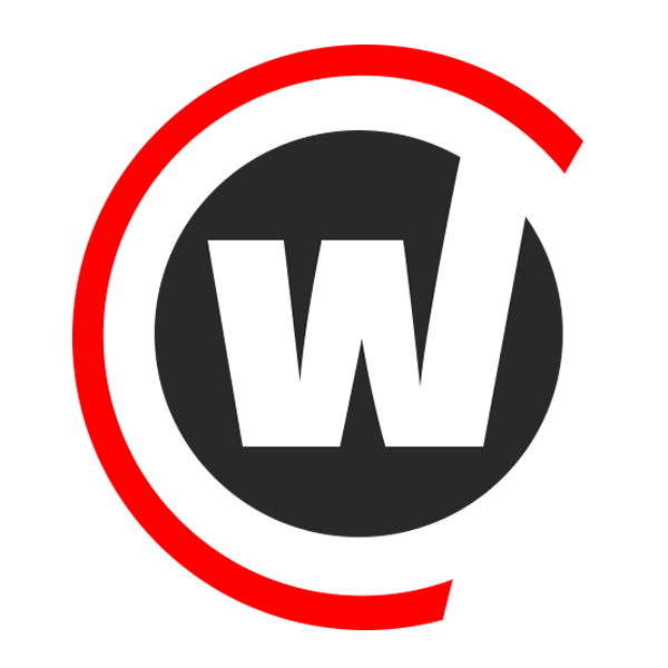 company logo