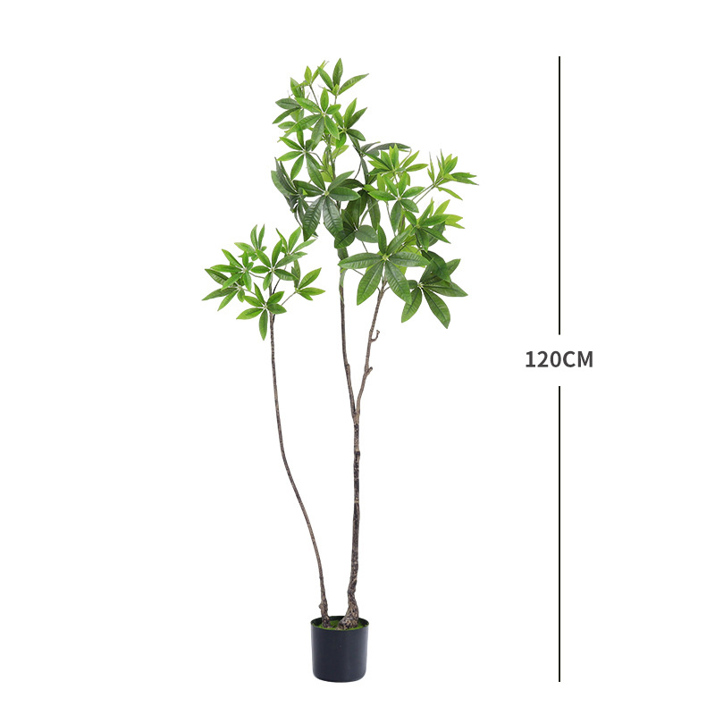 120cm