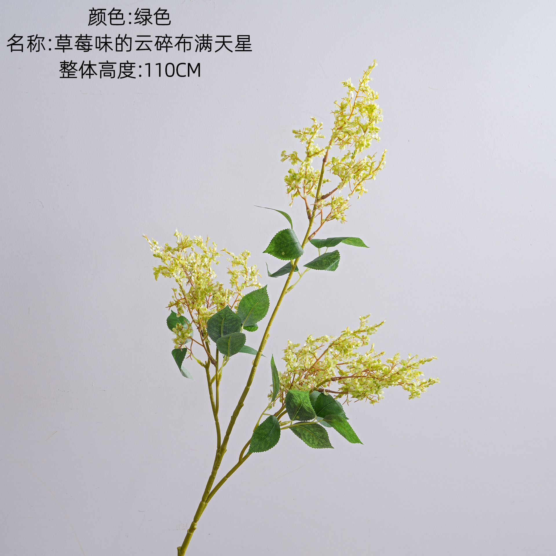 สีเขียว
