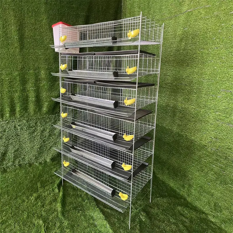 Commercial quail cage farm system breeding /quail cages for egg production /manufacturing layer quail cages for sale