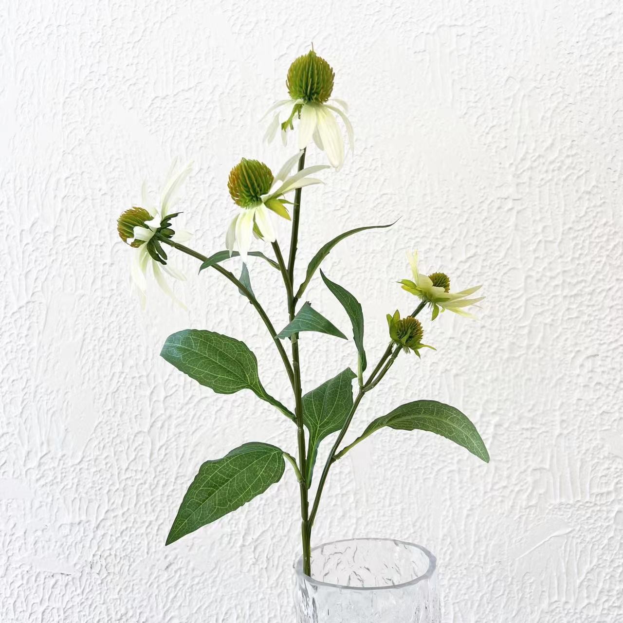 White green pine cone flower