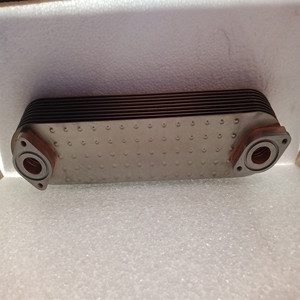 Chất lượng cao động cơ làm mát dầu 5504180635 504198739 504221050 Hệ thống làm mát Sản phẩm - Product Image 6