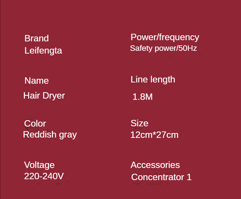 Fast Dry Hair Dryer Ionic Salon Grade Professional Blow Dryer for Curly Hair Frizz Control Volumizer Blowdryer