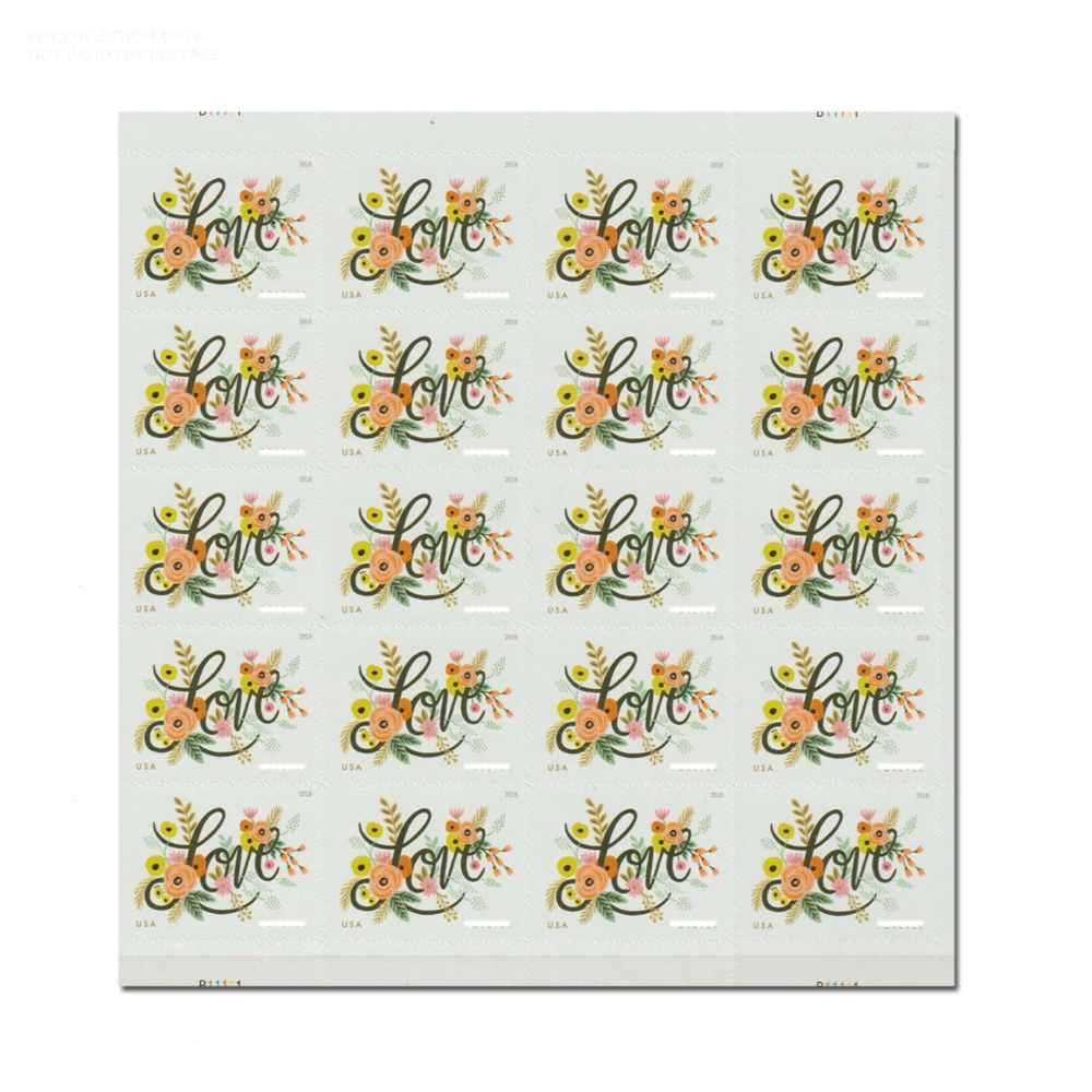 Blanc Y11 2018 L'amour s'épanouit