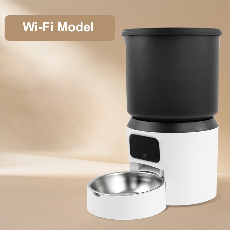 Version Wi-Fi