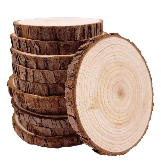 Disques en bois de pin rond naturel non fini écologique, 10 pièces pour l'artisanat