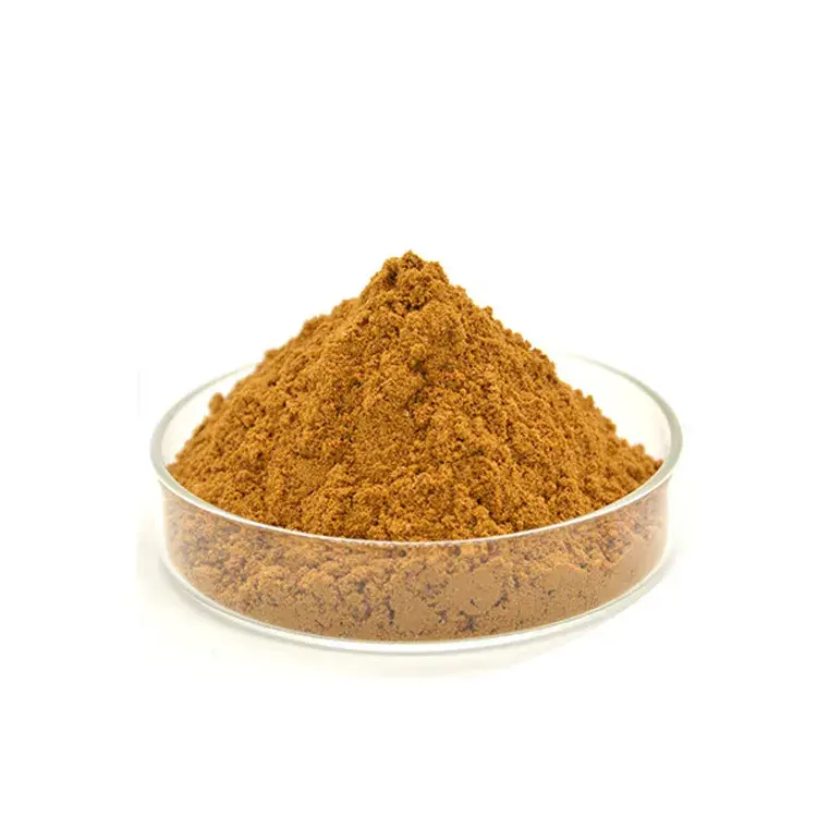 Health Supplement Raw Material 10:1 Black Cohosh root Extract powder