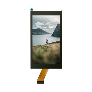 Personalizado 5 pulgadas WVGA 800*480 Alto brillo TN Módulo de pantalla LCD con interfaz RGB Tipo IPS TFT Pantalla LCD a color - Product Image 5