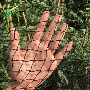 Obstgarten schutz anti vogel netting/vogel widerstehen mesh für fischzucht und zucht/hohe zug festigkeit kunststoff vogel net - Product Image 6
