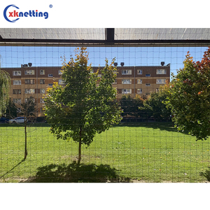 Cheap Bird Protection <strong>Net</strong> Black Knotted Heavy Duty Bird <strong>Net</strong> Anti Pool Pond Cover <strong>Net</strong> - Product Image 4