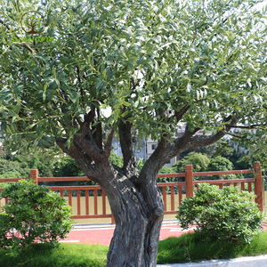 Yapay zeytin ağacı ekici doğal zeytin dalları ile sahte zeytin ipek ağacı ev ofis için gerçekçi yapraklar Faux zeytin ağacı - Product Image 3