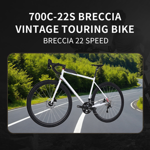 JAVA BRECCIA 22 speed 700C Дисковый Тормоз OEM, винтажный туристический легкий классический гравийный велосипед, хромо-молибденовый стальной велосипед - Product Image 2