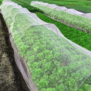 3m X 20m <strong>Garden</strong> Insect Mesh <strong>Netting</strong> Ultra Fine Mosquito <strong>Netting</strong> <strong>Bug</strong> <strong>Netting</strong> Bird <strong>Netting</strong> Insect Barrier - Product Image 6