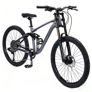 Chuyên Nghiệp Carbon Fibre Với RS-24S Shifters Carbon Bánh Xe Xe Đạp Leo Núi Đầy Đủ Hệ Thống Treo Cross Country Bicicleta - Product Image 5