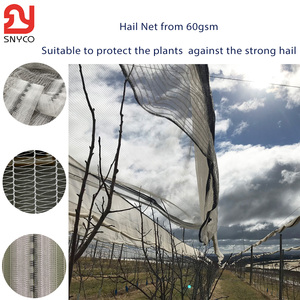 Custom Cut HDPE <strong>Hail</strong> <strong>Netting</strong> 60-90 Gsm Garden Plastic Insect <strong>Net</strong> Bag for Orchard Protection of <strong>Grape</strong> &amp; Apple Trees