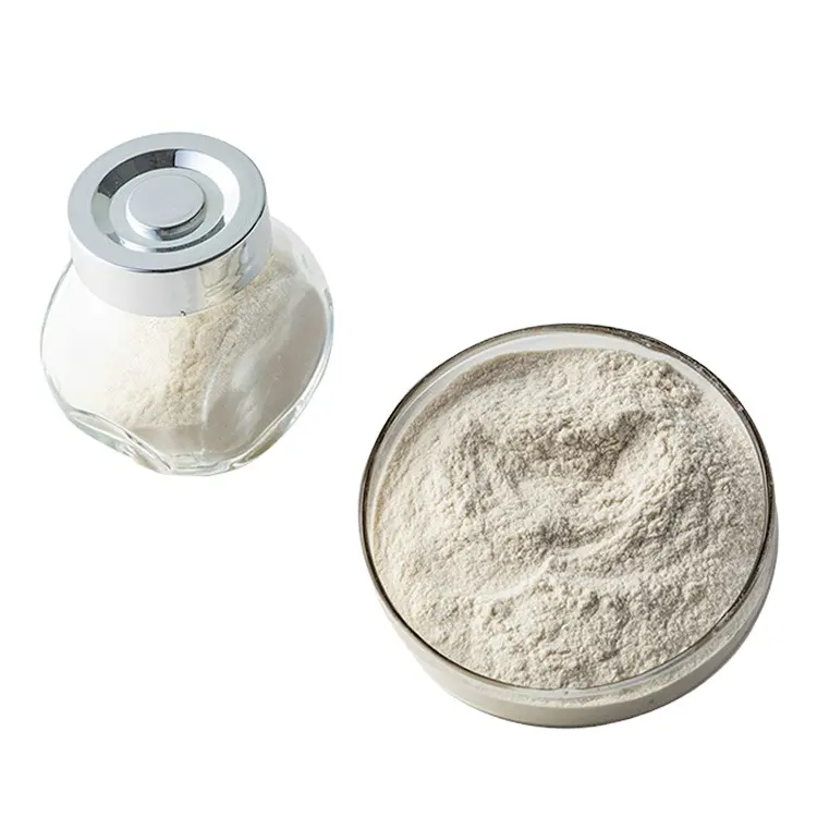 Organic Grade Instant Soy Milk Powder Purer Soybean Powder with Organic Certified