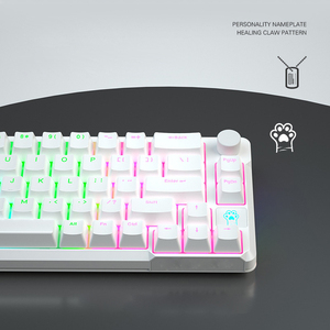 60% การฉีดขึ้นรูปสองสีแป้นพิมพ์แบบกลไกสำหรับเดสก์ท็อปปุ่มหมุน RGB 66คีย์สำหรับเล่นเกม - Product Image 5