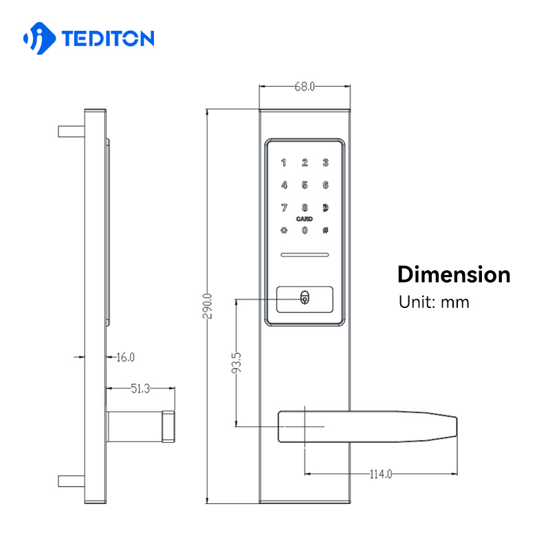 Tediton Classic Wireless Intelligent Security Ttlock Electric Key Code Wifi App Home Door Smart Lock