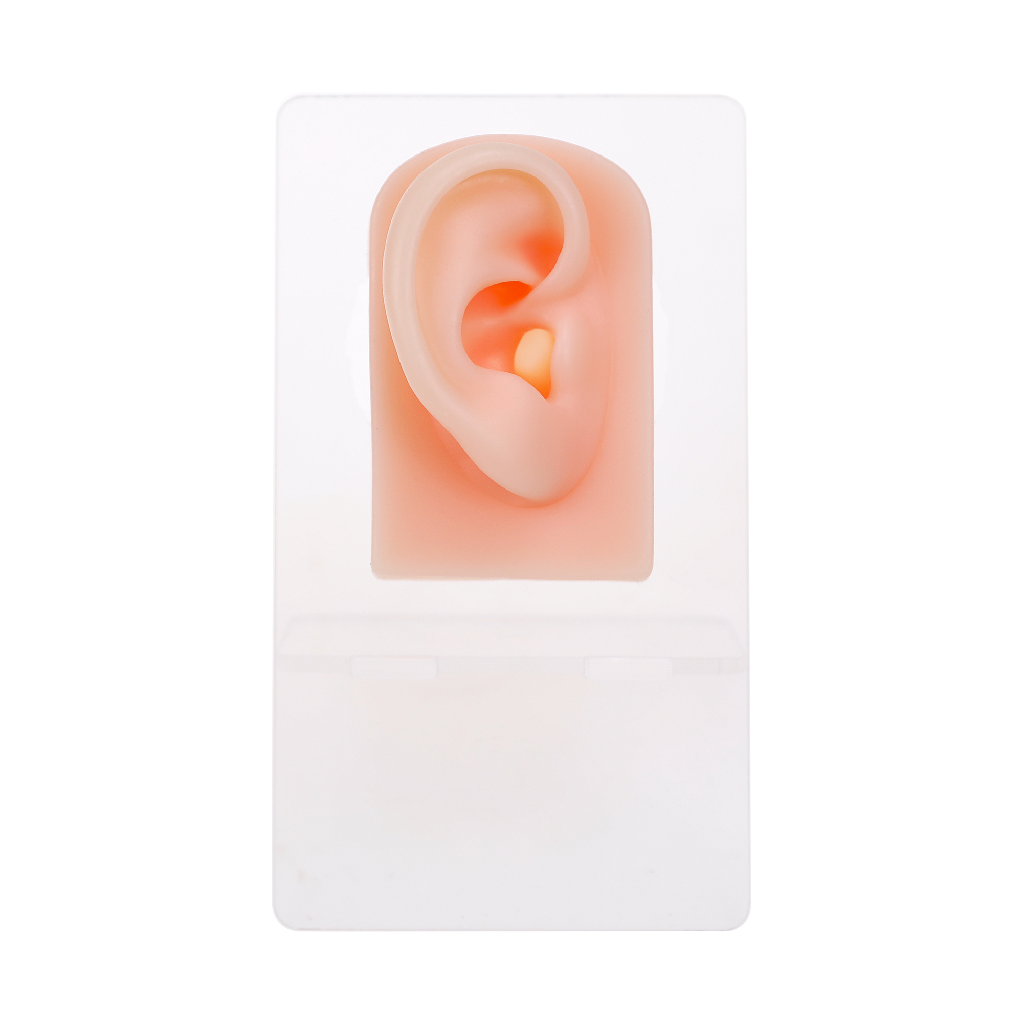 Oreille gauche - SIH003