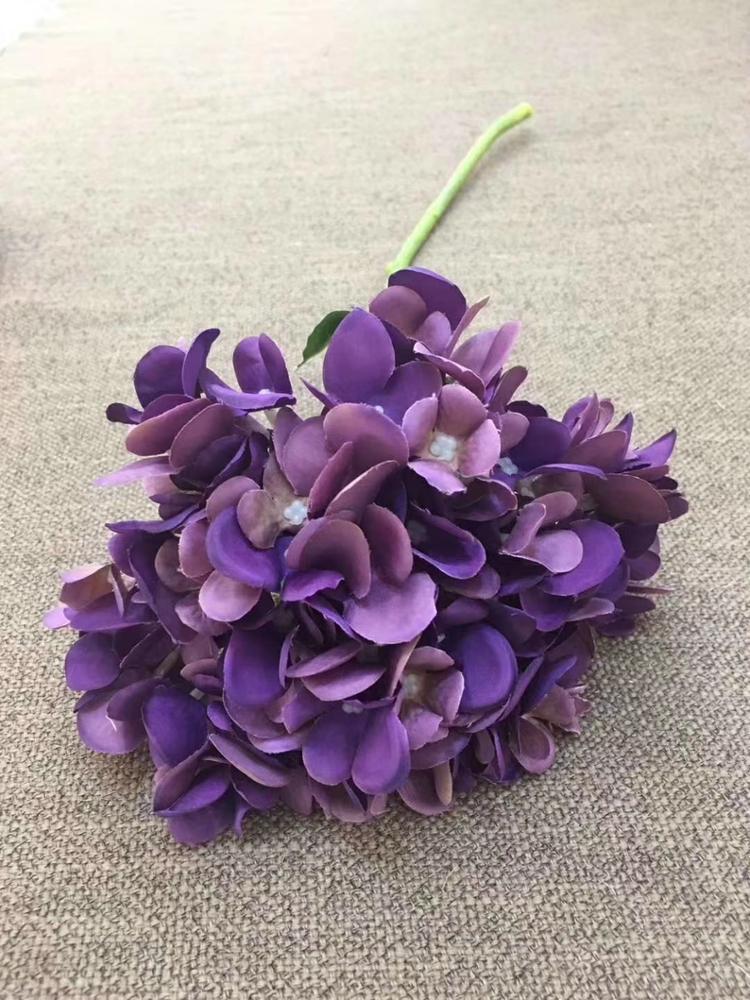 Unique hortensia