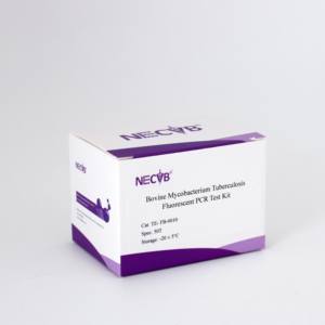 ชุดตรวจเชื้อวัณโรคจากหลอดฟลูออเรสเซนต์ PCR (50 t/box) สำหรับห้องปฏิบัติการวินิจฉัยทางสัตวแพทย์ - Product Image 6