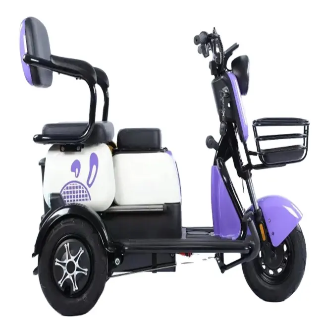 2024三輪オートバイモーター高品質90KmThree Wheels 600W Electr Cargo Tricycles Motorcycles