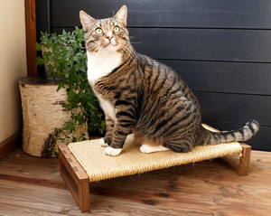モダン56cm 22インチ猫スクラッチングポストFSC ODM OEM水平ボードラテックスとPUクラシックスタイルサイザルフロアポスト - Product Image 1
