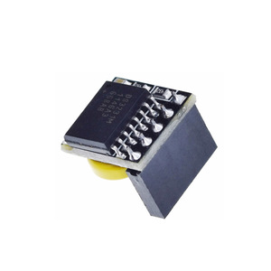 โมดูลนาฬิกา DS3231ความแม่นยำสูงสำหรับราสเบอร์รี่ Pi ตัวเชื่อมต่อต่างประเทศ