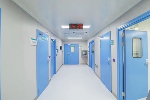 Construcción e instalación de sala de operaciones limpia de flujo de aire laminar libre de polvo Clase 100 en proyecto GMP de alimentos y cosméticos