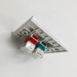 Red de doble puerto RJ45 Socket Networking 86 Tipo con placa frontal de obturador