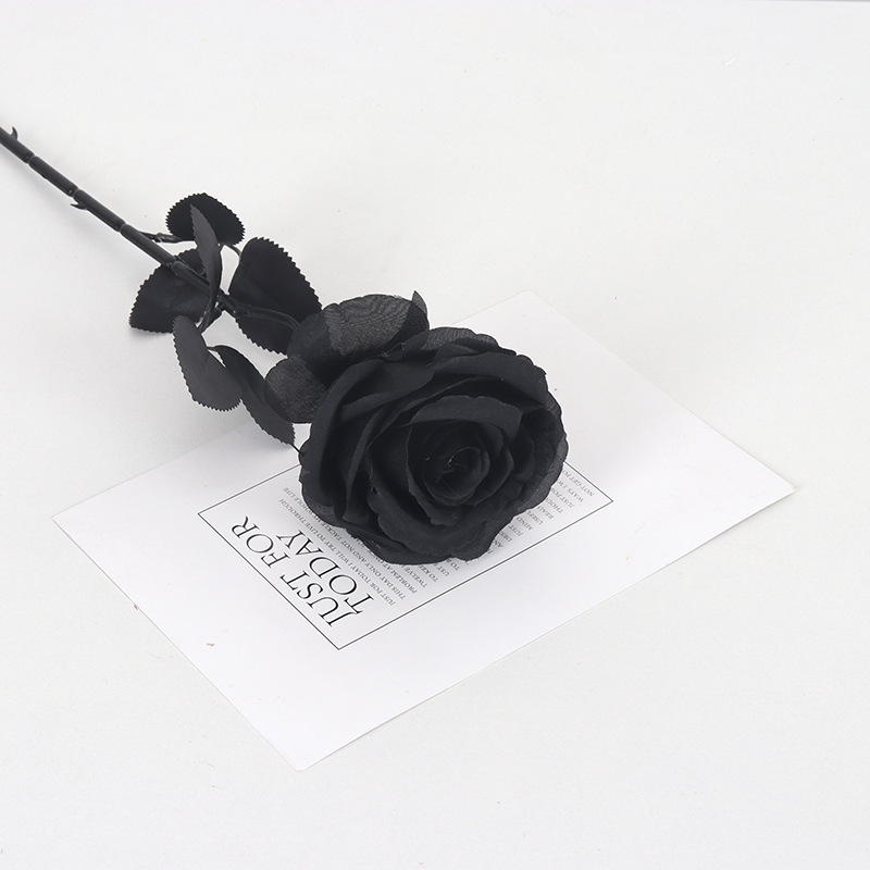 Rose ronde noir pur