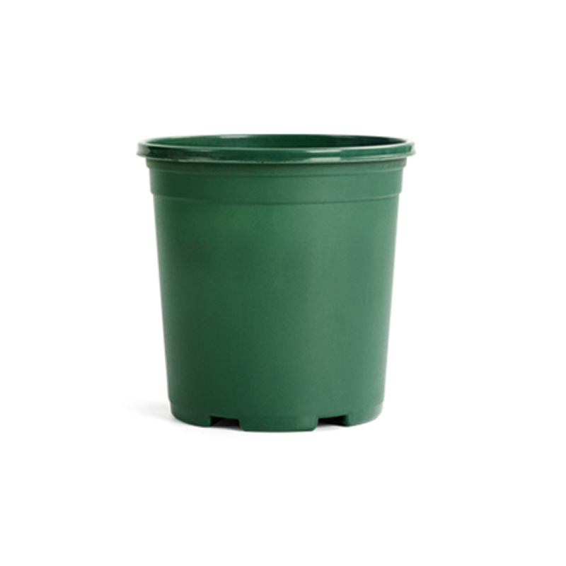 Vert