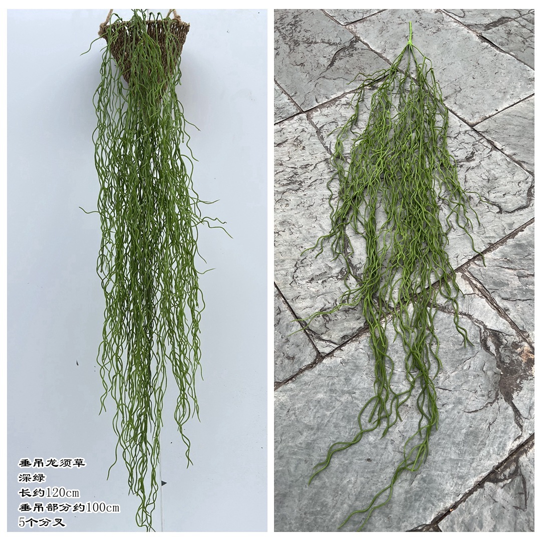 Hanging dragon grass green