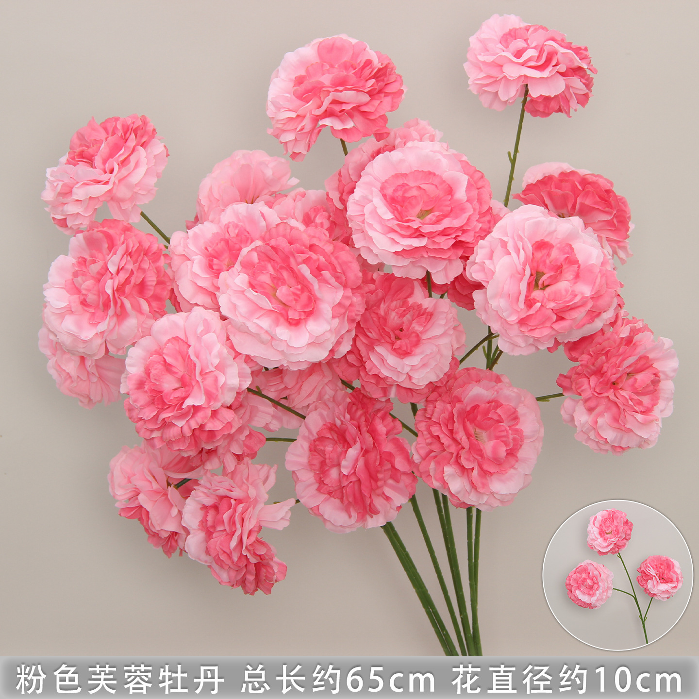 Pack de 10 pièces Hibiscus Pivoine Rose