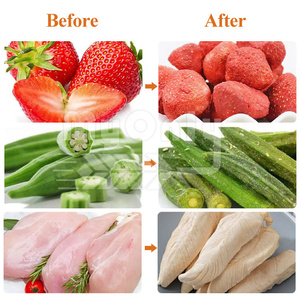 Sistema controllato intelligente e interfaccia facile da usare liofilizzatore alimentare sottovuoto per un facile utilizzo - Product Image 4