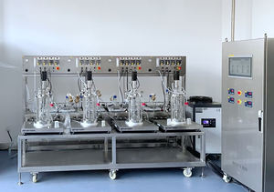 Laboratuvar maya mantarları yosun mekanik karıştırma 5L cam biyoreaktör fermentör BLBIO-5GJA-3 fermantasyon makinesi fiyat - Product Image 4