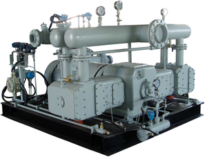Compressore a pistone a Gas di recupero della palude con scarico di carico alternativo LNG personalizzato - Product Image 2