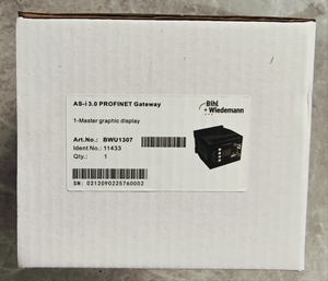 BIHL + WIEDEMANN Gateway BWU1307 Módulo entrada analógica
