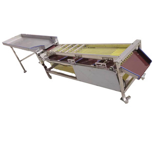Máquina clasificadora de verduras y frutas, máquina calibradora de clasificación de frutas y aguacate, máquina clasificadora de grado de tamaño de fruta hecha en China - Product Image 3