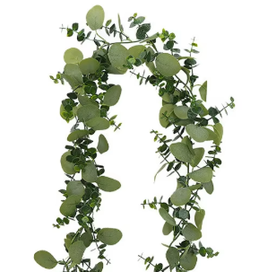 Ratán de Eucalipto Verde estilo M (60 unidades)