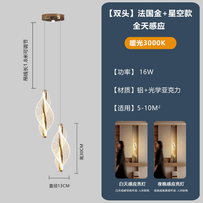 หัวคู่-ดาวทองฝรั่งเศส-เหนี่ยวนำ 3000K