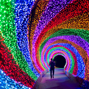 <strong>DMX512</strong> Control Programmable 220V Christmas Decoration Festival Landscape IP65 <strong>LED</strong> Fairy Outdoor <strong>String</strong> <strong>Light</strong> - Product Image 3