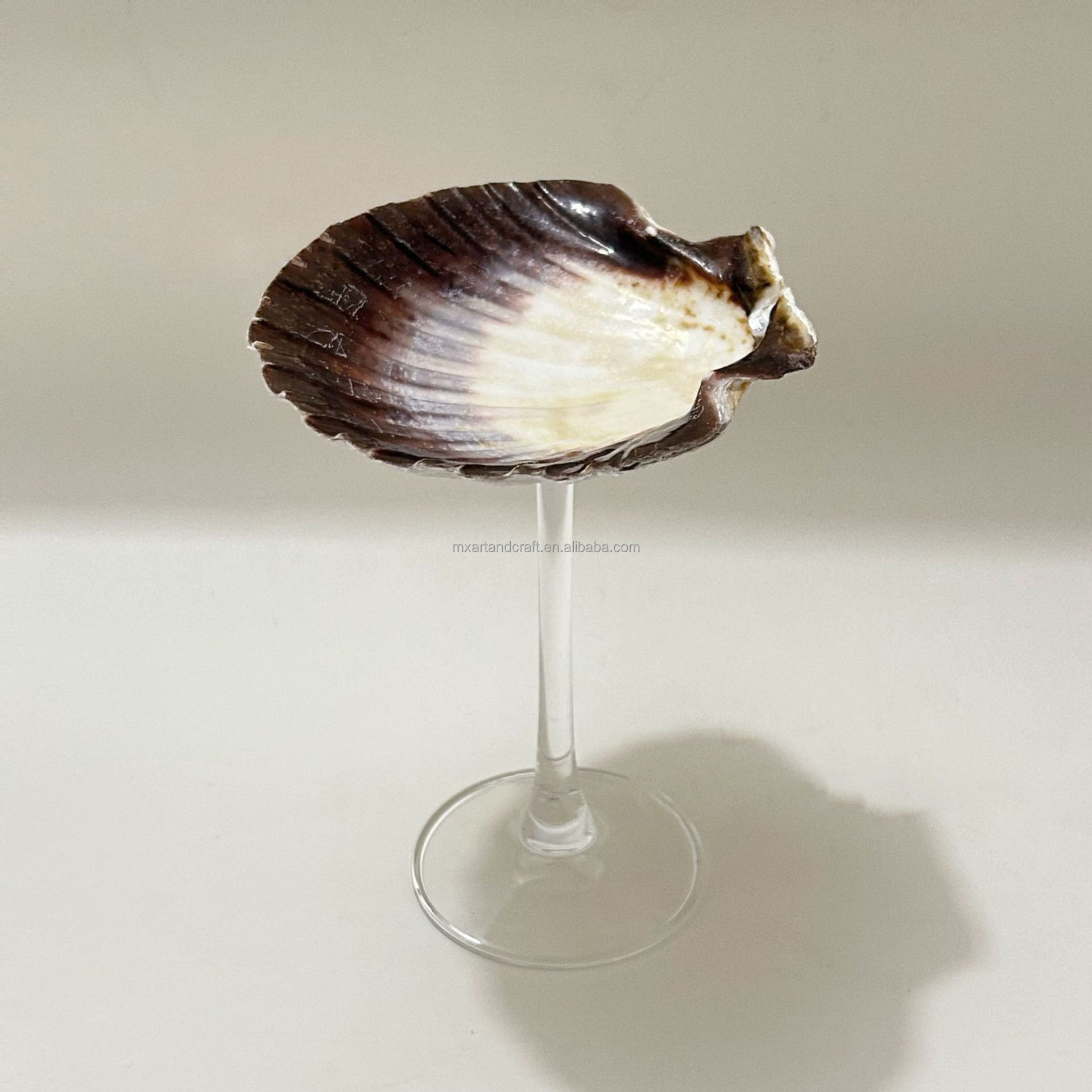 Concha de vieira reina blanca y negra con tallo de cristal