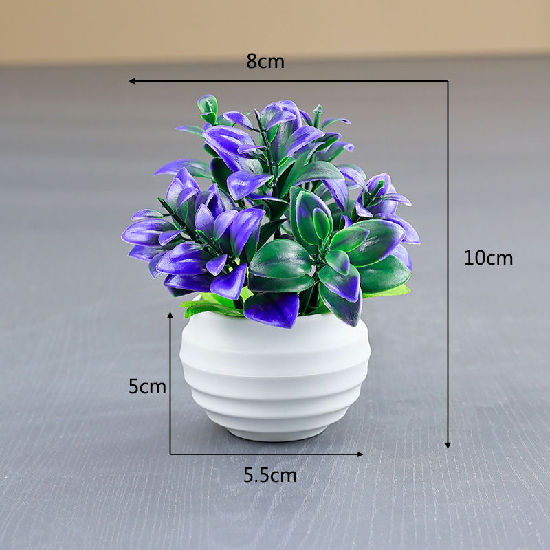Bassin violet-blanc