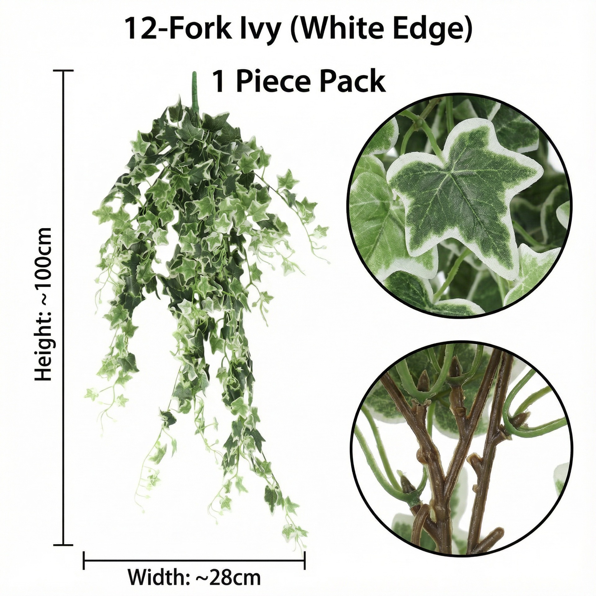 Vert avec bord blanc