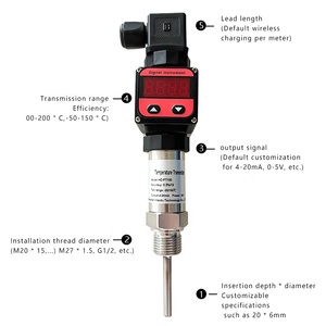 Transductor de temperatura Pt100 Tipo de sonda Termopar Sensor de temperatura ODM con 1 año de garantía para instrumentos de temperatura