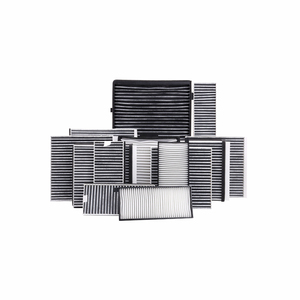 ชิ้นส่วนรถยนต์เครื่องปรับอากาศ A/C ตัวกรองเหมาะสําหรับ Roewe Mg RX3 RX5 RX8 RX9 10177398/56640029/400000198/PX8-10010 - Product Image 1