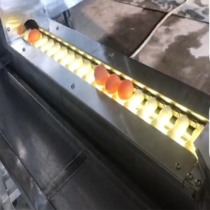 Máquina de prueba de huevos/Máquina de control ligero de huevos de pollo/Máquina clasificadora de huevos - Product Image 2