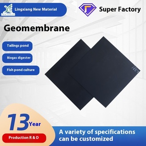 Fishpond eğim koruması için HDPE polietilen geomembran sulak ve yapay göl depolama Anti-sızıntı membran inşa - Product Image 3